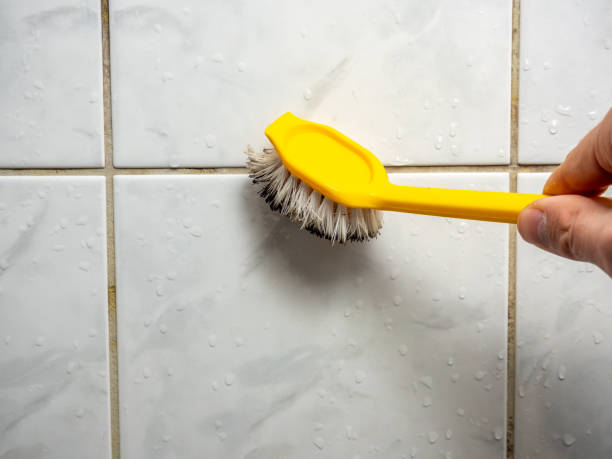 Best Mold Removal Company Near Me  in South Temple, PA