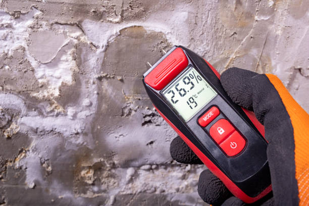 Best Residential Mold Removal  in South Temple, PA